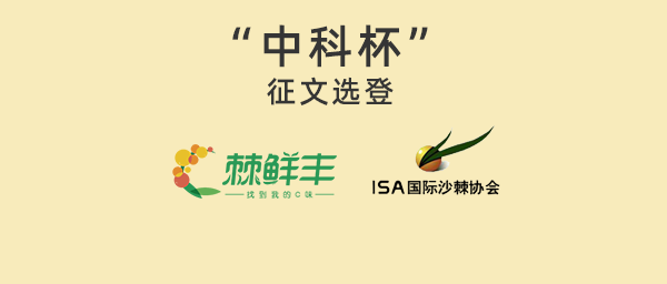 “中科杯”征文選登三