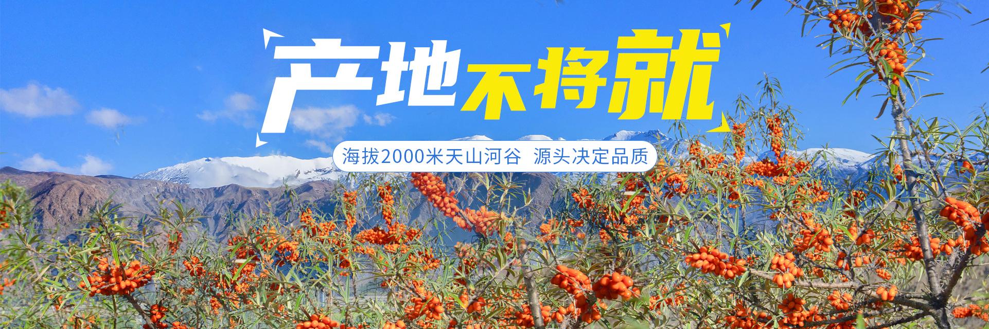棘鮮豐